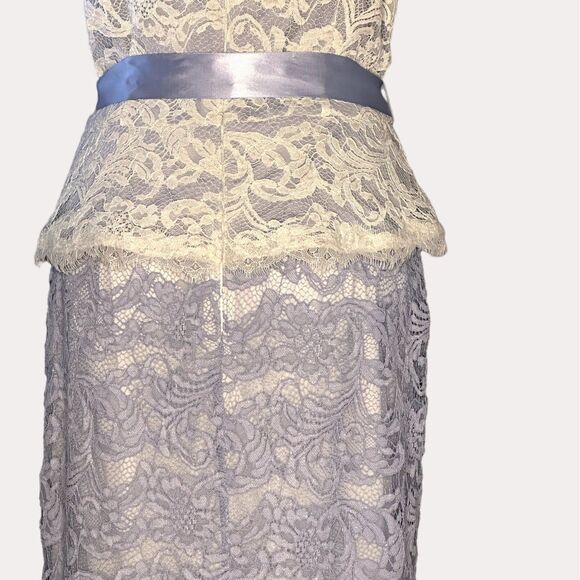 Adrianna Papell Nouveau Scroll Lace Gown Dress Maxi Periwinkle Ivory 10 - Picture 9 of 11